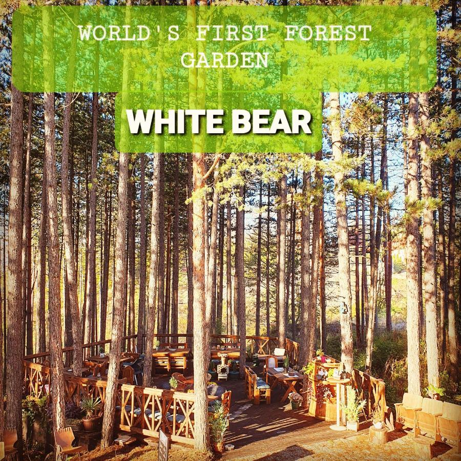 Apartment White Bear Zlatibor Buitenkant foto