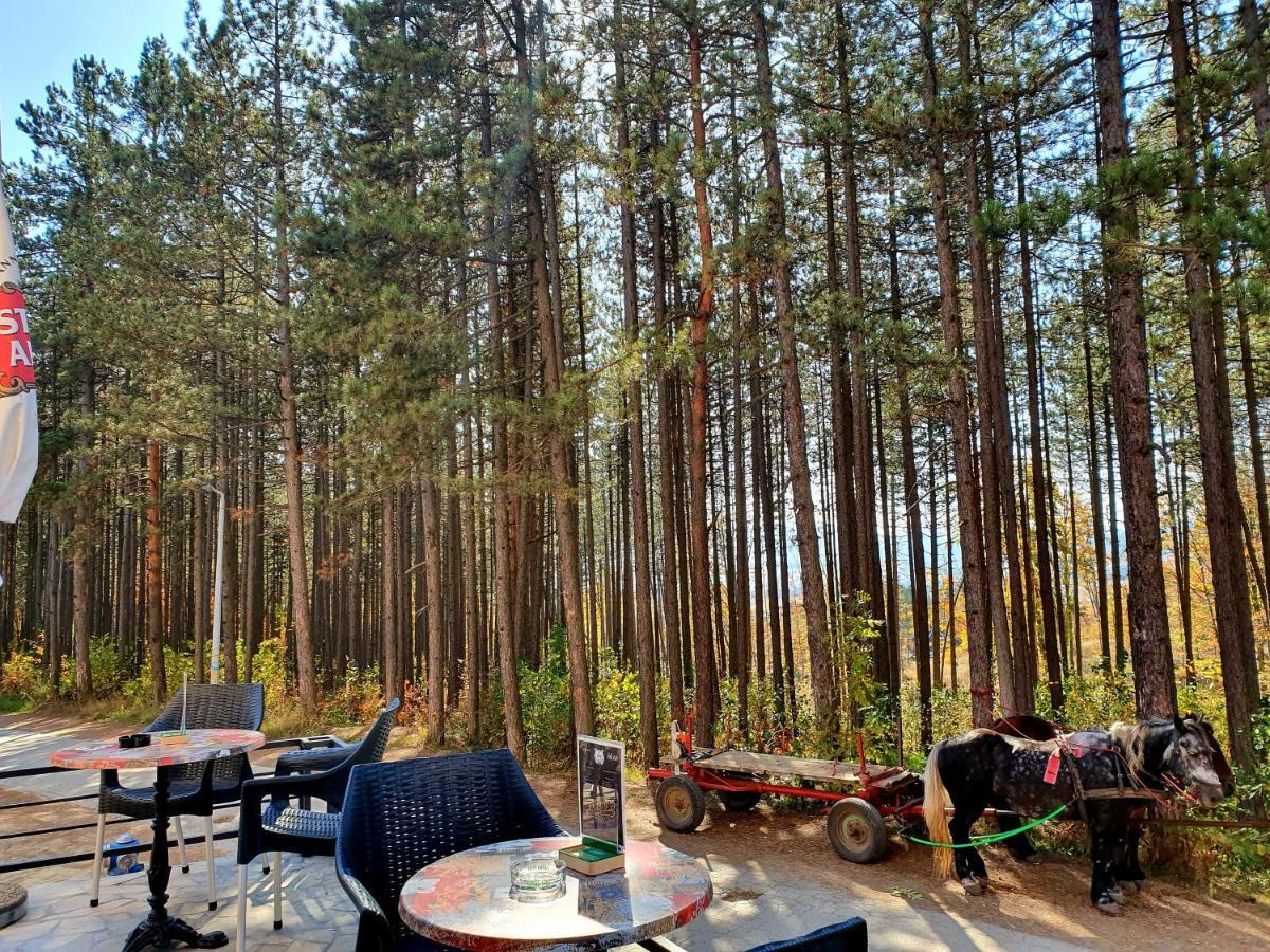 Apartment White Bear Zlatibor Buitenkant foto
