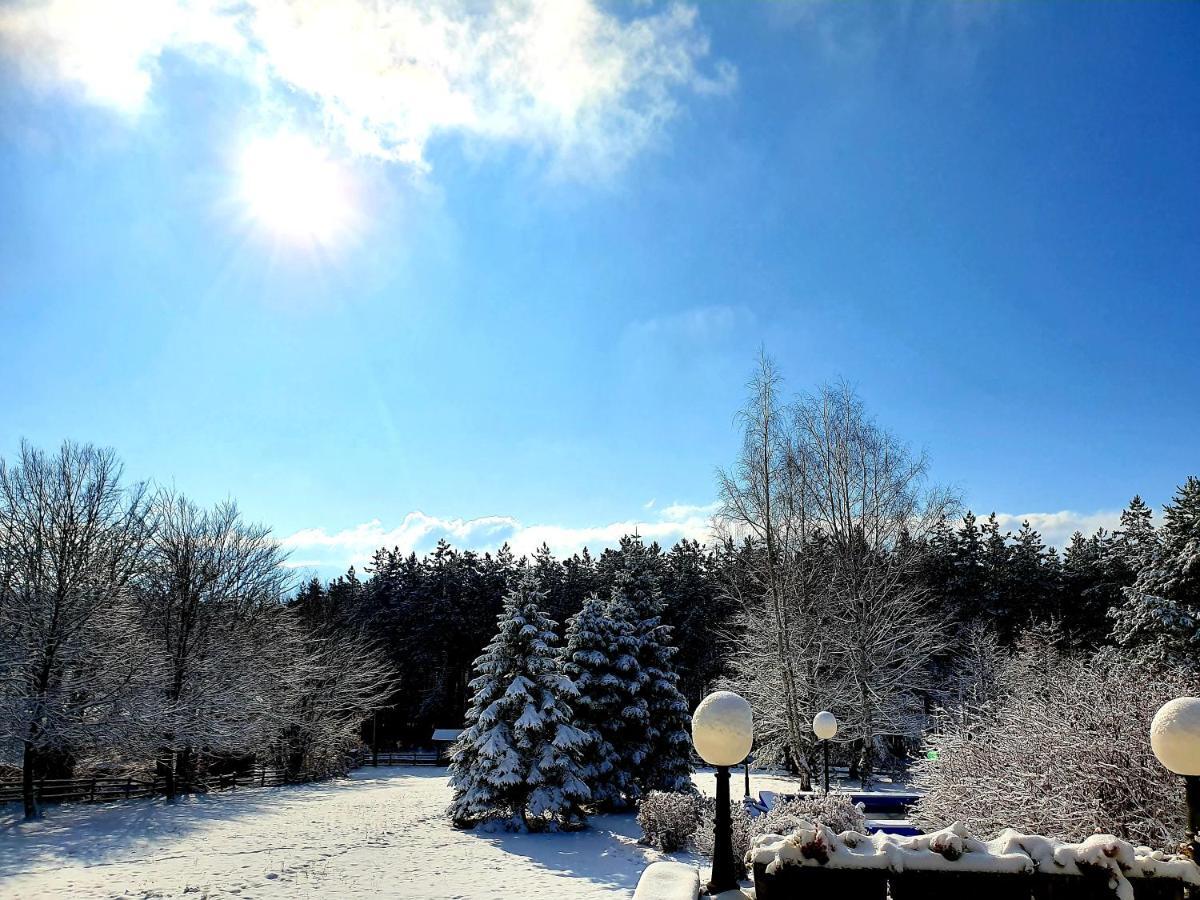Apartment White Bear Zlatibor Buitenkant foto